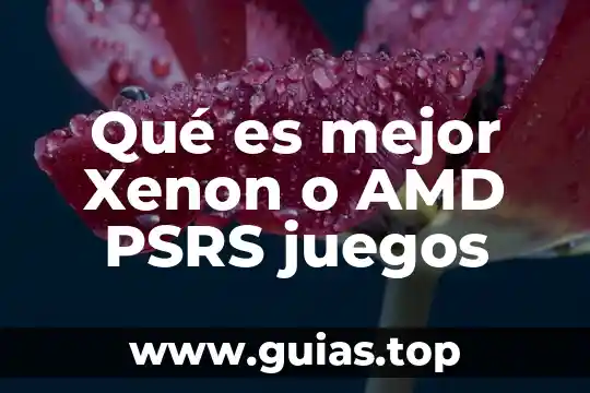 AMD escala qué es 4 Qué es mejor Xenon o AMD PSRS juegos