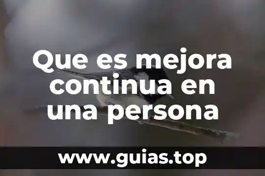 Que es el control de mejora en materia administrativo 3 Que es mejora continua en una persona