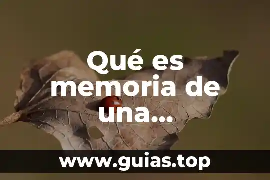 Qué es la memoria caché de una computadora 8 Qué es memoria de una computadora