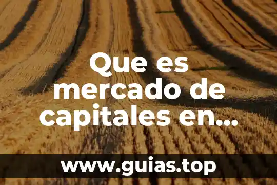 Que es el mercado de dinero y de capitales 4 Que es mercado de capitales en microeconomia