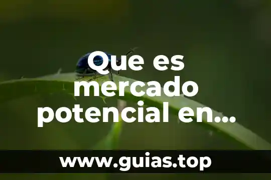 Que es mercadotecnia y sus tipos 6 Que es mercado potencial en mercadotecnia