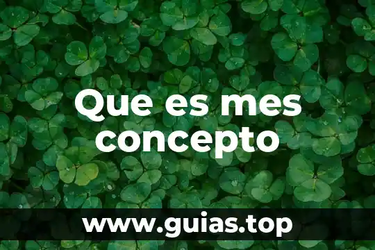 Que es el concepto relacionado con la gravedad soporte salto 3 Que es mes concepto