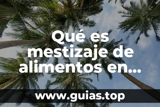 Imágenes de que es música 5 Qué es mestizaje de alimentos en música