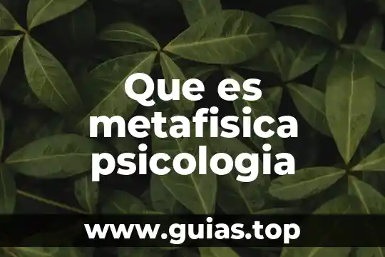 Según la metafísica que es sobriedad 6 Que es metafisica psicologia