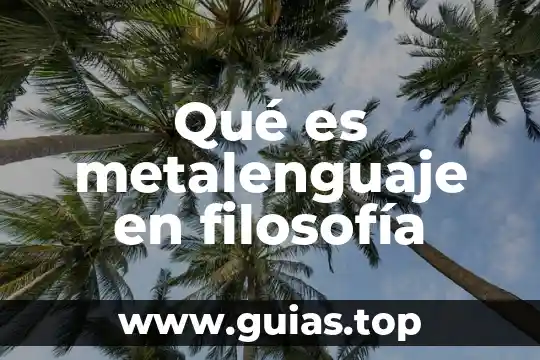 Qué es oligofrenia en filosofía 4 Qué es metalenguaje en filosofía