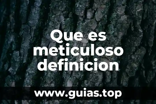Qué es una chancla definición 4 Que es meticuloso definicion