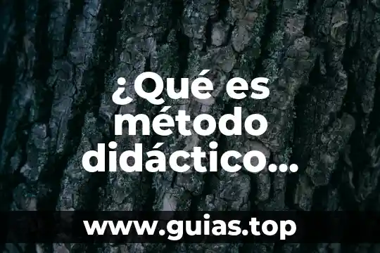 Qué es ser pasivo activo proactivo y reactivo 3 ¿Qué es método didáctico activo?