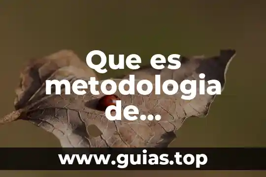 Para la lógica jurídica que es la jurisprudencia del concepto 3 Que es metodologia de investigacion juridica