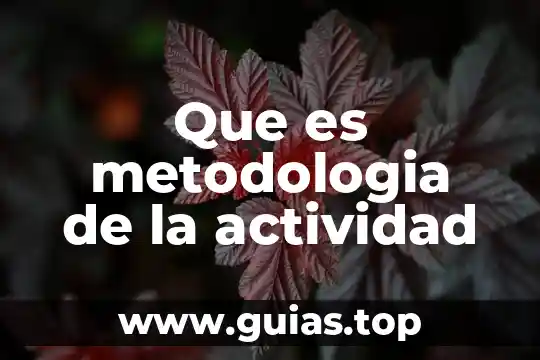 Qué es la actividad triptica 4 Que es metodologia de la actividad
