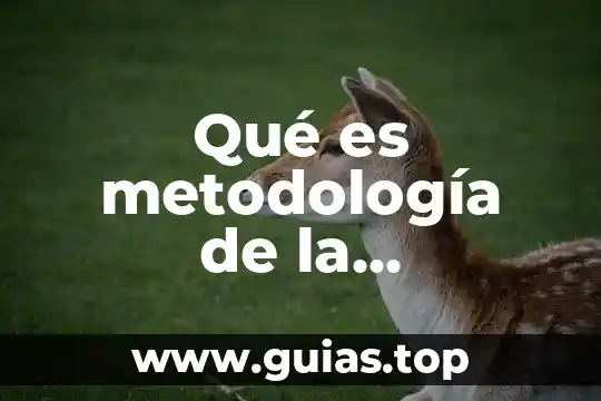 Que es el metodologia de programacion 8 Qué es metodología de la investigación etimología