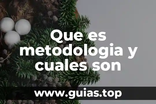 Qué es la libertad y cuáles son sus límites 6 Que es metodologia y cuales son