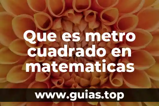 Que es metro cuadrado en matematicas