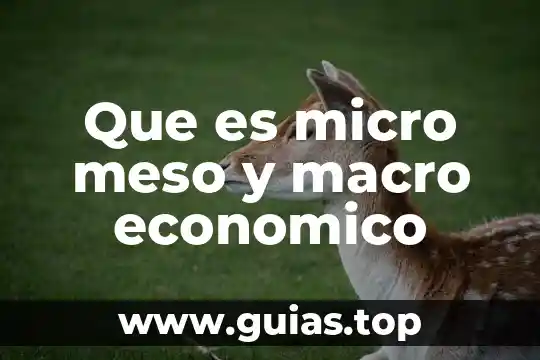 Que es micro meso y macro economico