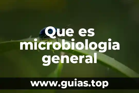 Qué es amor genuino 5 Que es microbiologia general