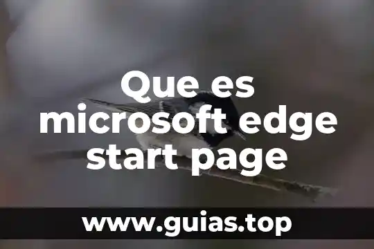Qué es Microsoft Excel 2016 3 Que es microsoft edge start page