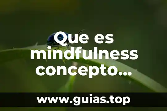 Que es el concepto mg en los cheques de maestros 8 Que es mindfulness concepto breve