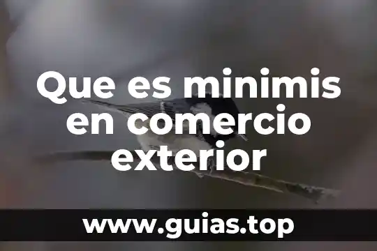 Qué es número exterior e interior de un domicilio 5 Que es minimis en comercio exterior
