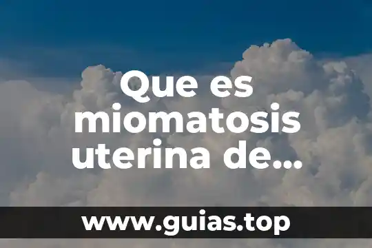 Ventana uterina que es 3 Que es miomatosis uterina de grandes elementos