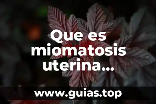 Que es miomatosis uterina de grandes elementos 3 Que es miomatosis uterina intramural de pequeños elementos