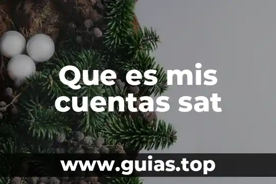Que es el formato 32 sat 2019 6 Que es mis cuentas sat