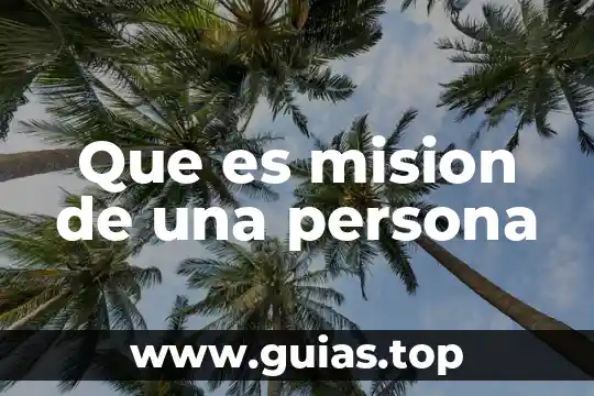 Qué es la misión visión y objetivos de una organización 7 Que es mision de una persona