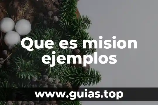 Qué es la misión visión y objetivos de una organización 5 Que es mision ejemplos