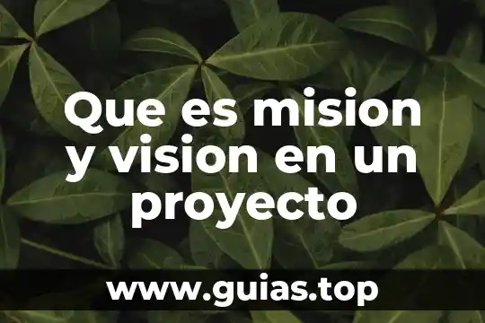 Botón de disparo con visión en directo que es 7 Que es mision y vision en un proyecto