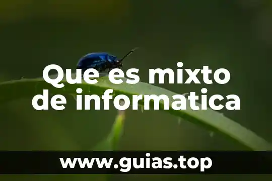 Qué es un número mixto definición 8 Que es mixto de informatica
