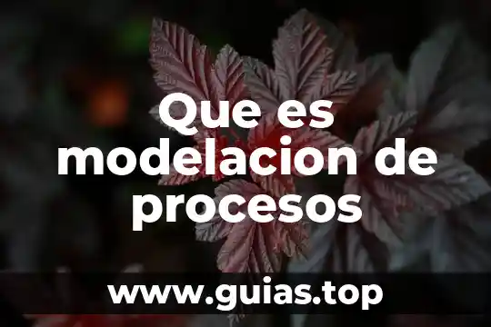 Qué es la meditación qué tipos de meditación hay 8 Que es modelacion de procesos