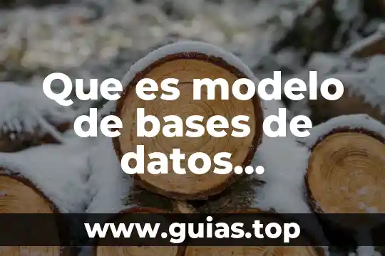 Que es un paradigma orientado a objetos en programacion 8 Que es modelo de bases de datos orientado a objetos