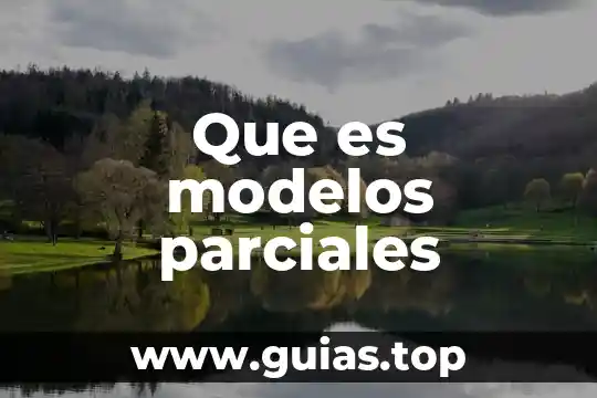 Que es modelos parciales