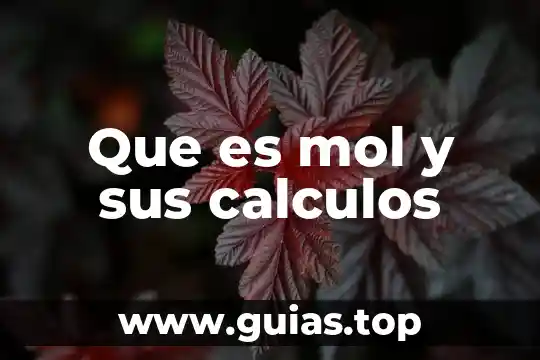 Que es calculos indicados 6 Que es mol y sus calculos