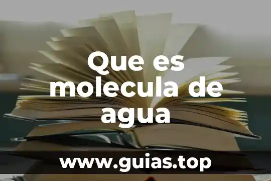 Porcentaje del cuerpo humano que es agua 6 Que es molecula de agua