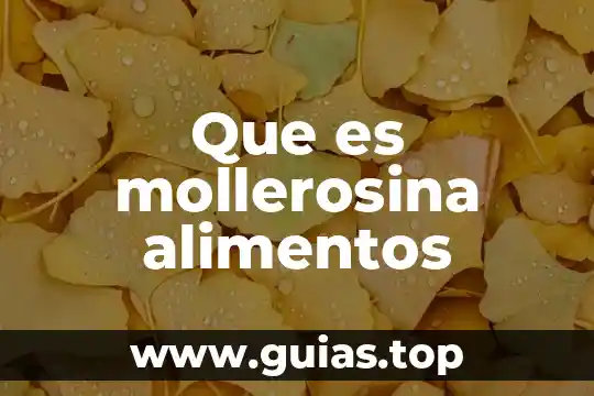 Sodio que es alimentos 5 Que es mollerosina alimentos