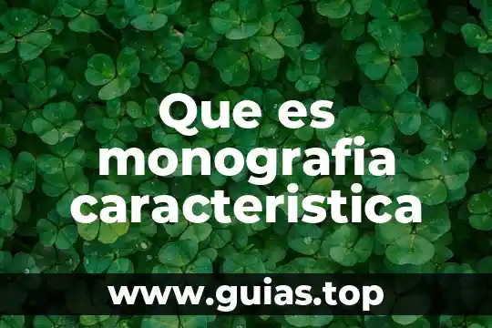 Que es tochito bandera imajenes como se caracteristica 4 Que es monografia caracteristica