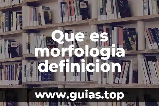 Qué es un de riesgo definición 4 Que es morfologia definicion