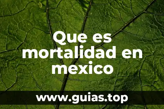 Que es mortalidad movimientos migratorios 4 Que es mortalidad en mexico