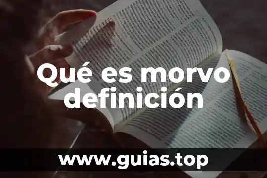 Cómo supones que es el interior del sol 5 Qué es morvo definición