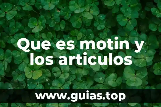 Que es clarificacion articulos 8 Que es motin y los articulos