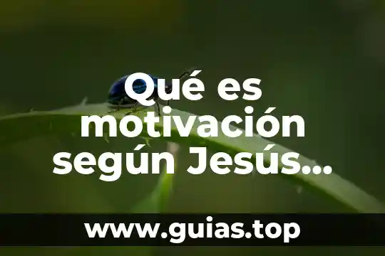 Que es el tipos debate 5 Qué es motivación según Jesús Alonso Tapia