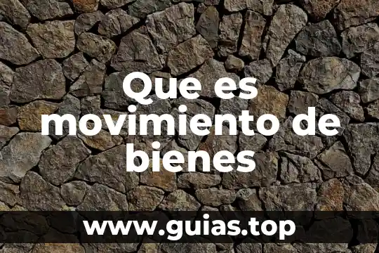 Qué es un movimiento miro sap 8 Que es movimiento de bienes