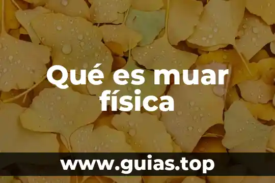 Que es el agua en fisica 3 Qué es muar física