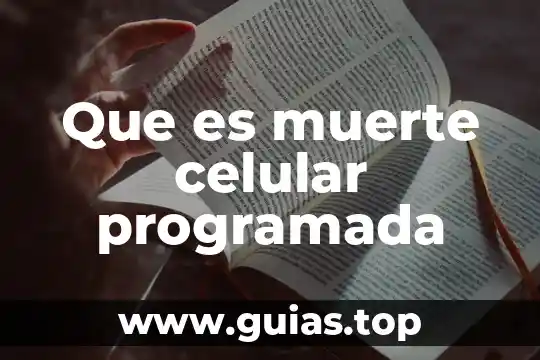 Que es sera duelo a muerte con cuchillos 7 Que es muerte celular programada