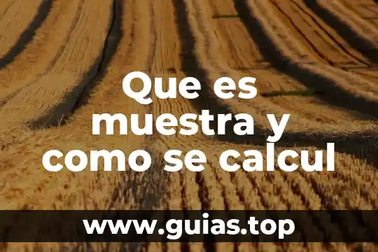 Examen de ciencias que es el universo 4 Que es muestra y como se calcul
