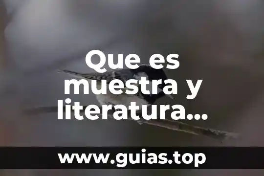 Qué es una receta médica ordinaria 6 Que es muestra y literatura médica