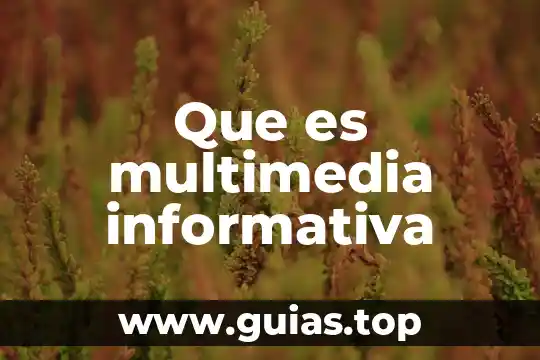 Que es una fuente informativa y sus tipos 3 Que es multimedia informativa