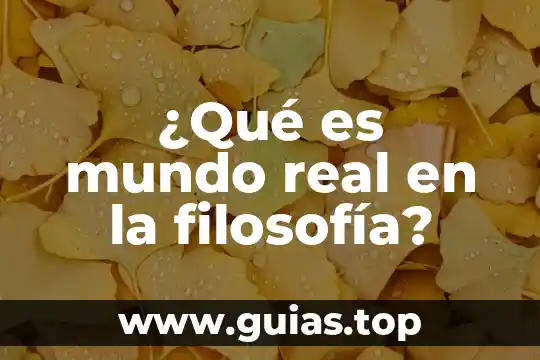 En filosofia que es empirismo 5 ¿Qué es mundo real en la filosofía?