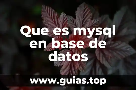 Que es depurar base de datos 8 Que es mysql en base de datos