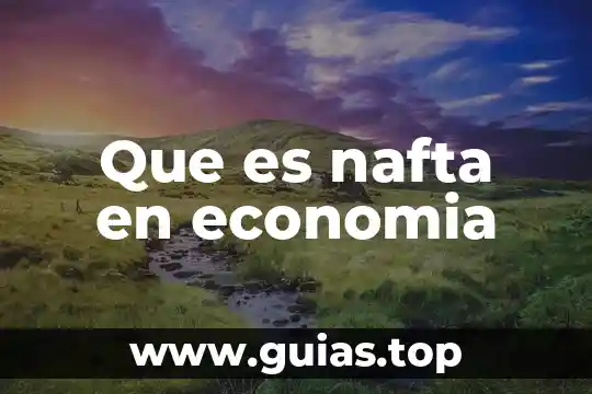 Que es la fuerza de fluidos 8 Que es nafta en economia