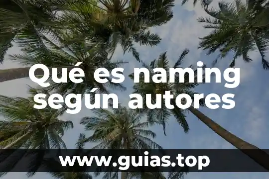 Concepto de que es un codigo de etica segun autores 7 Qué es naming según autores